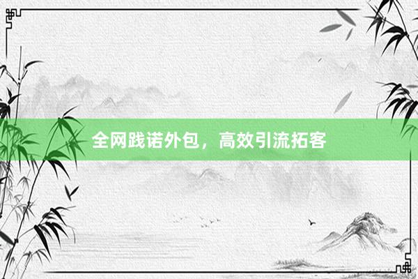 全网践诺外包，高效引流拓客