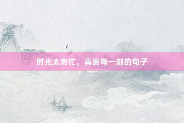 时光太匆忙，真贵每一刻的句子