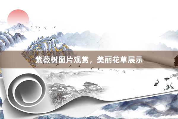 紫薇树图片观赏，美丽花草展示