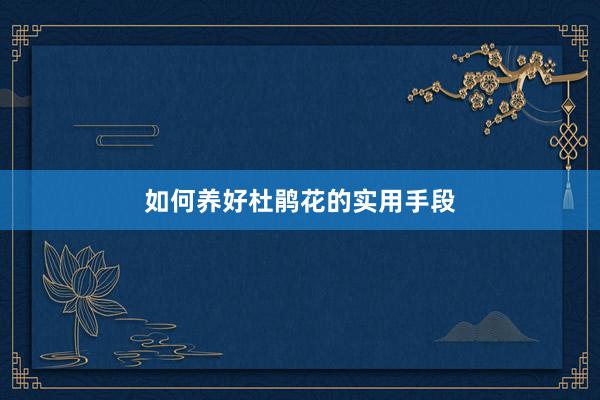 如何养好杜鹃花的实用手段